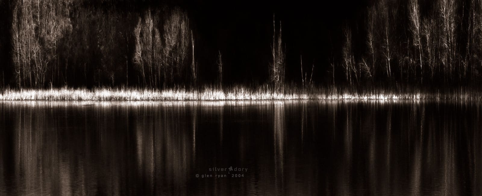 dusk | corunna lake